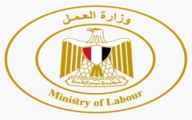 براتب يصل إلى 18 ألف جنيه.. وظائف شاغرة في المقاولات والتأمينات بأسوان